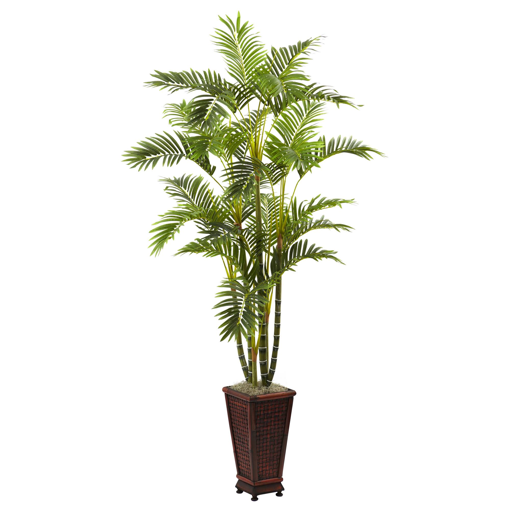 6.5ft. Areca Palm Tree in Decorative Planter